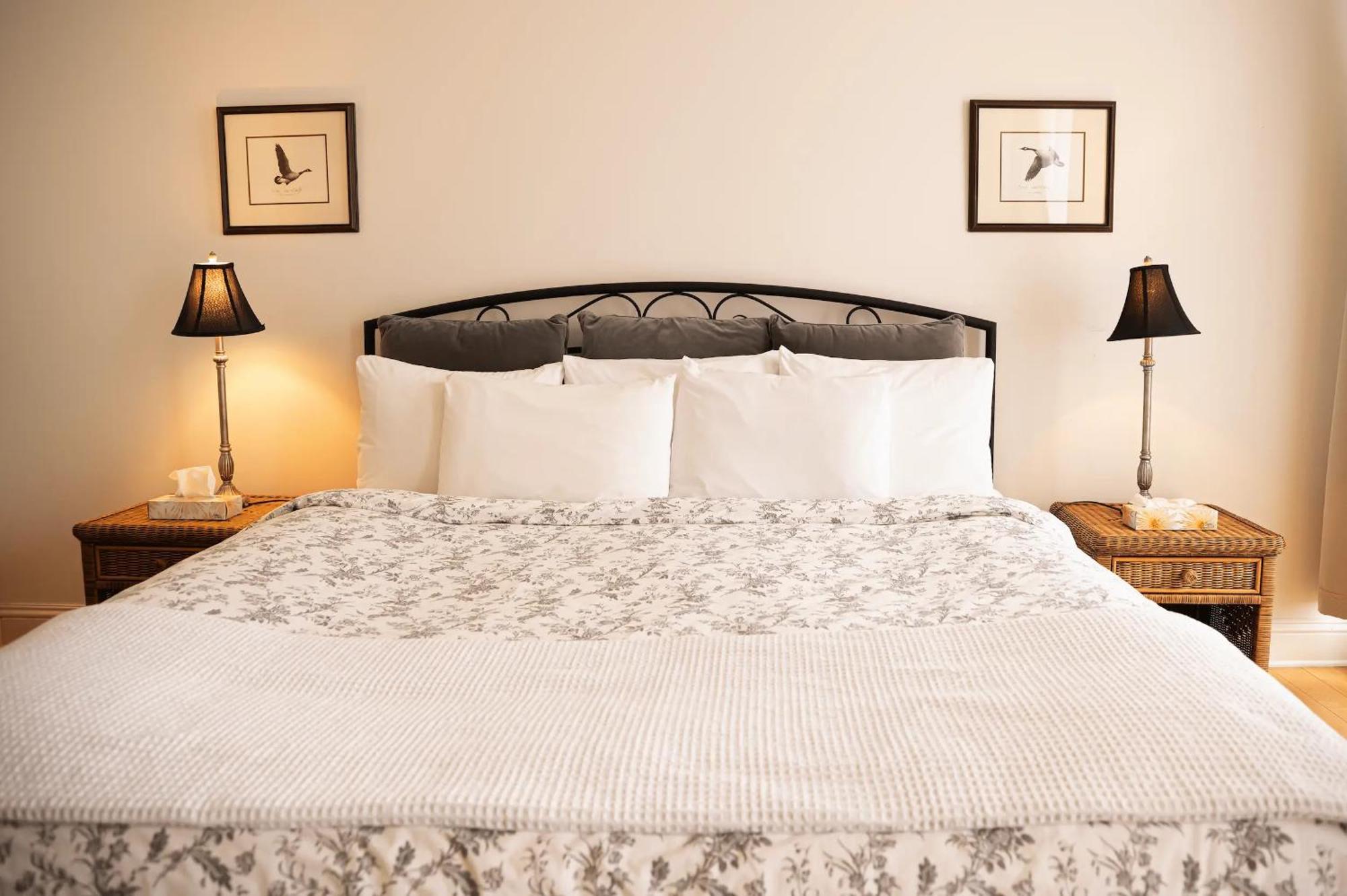 Royal Dalhousie Appartement
